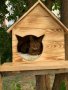 Къща за коте - размери С и М - Колиба за котета, Къщичка за котки, снимка 6