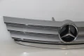 Предна решетка Mercedes W169 A-Class (2004-2008г.) Avantgarde Elegance 1698800983 / A16988009839744, снимка 3