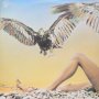 Music From Free Creek-Грамофонна плоча -LP 12”, снимка 2