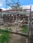 Продавам гълъби, снимка 12