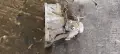 Ръчна скоростна кутия Daihatsu Sirion II 1.3 - 91к.с. , снимка 2