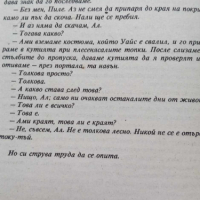 Пилето - Уилям Уортън, снимка 4 - Художествена литература - 44924605