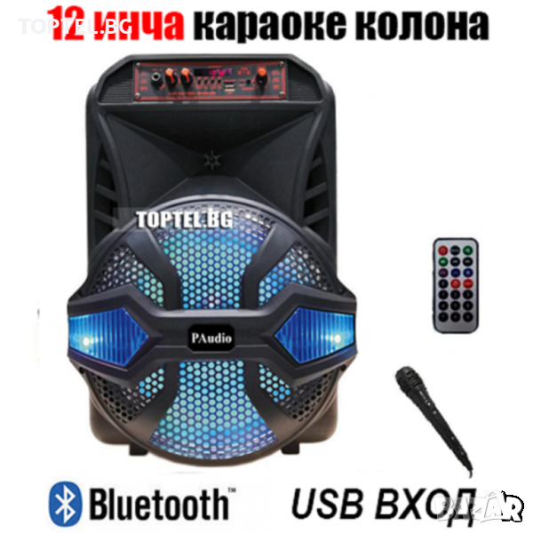 КАРАОКЕ ТОНКОЛОНА 12 ИНЧА PAUDIO PА-120, снимка 1