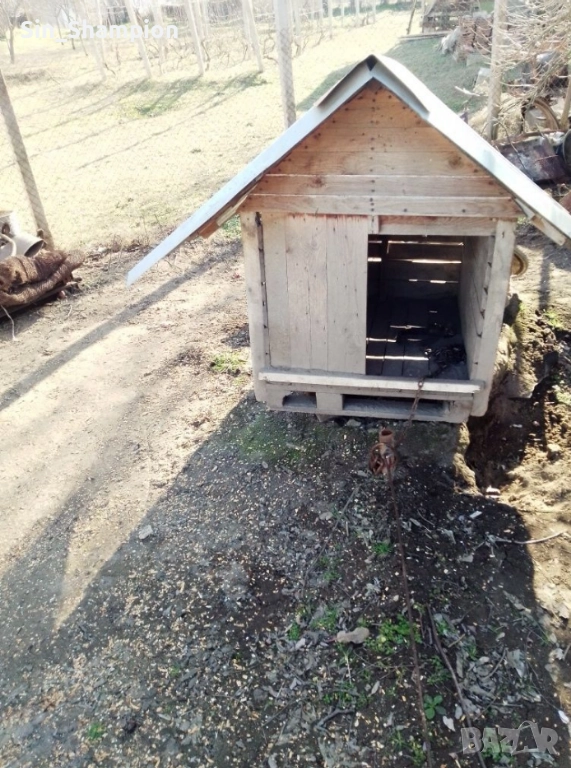 Кучешка колиба , снимка 1