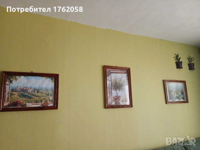 Картини дървена рамка