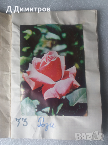 Лексикон от 80те години, снимка 4 - Други ценни предмети - 36296311