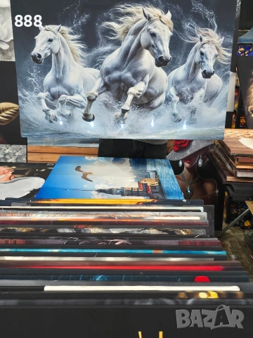 картини, снимка 13 - Картини - 53575033