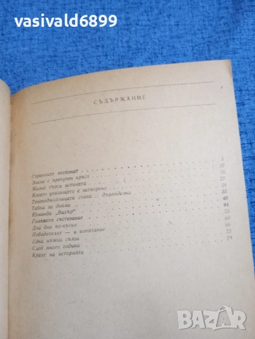Димитър Точев - Чифт дървени кънки , снимка 5 - Детски книжки - 52952831