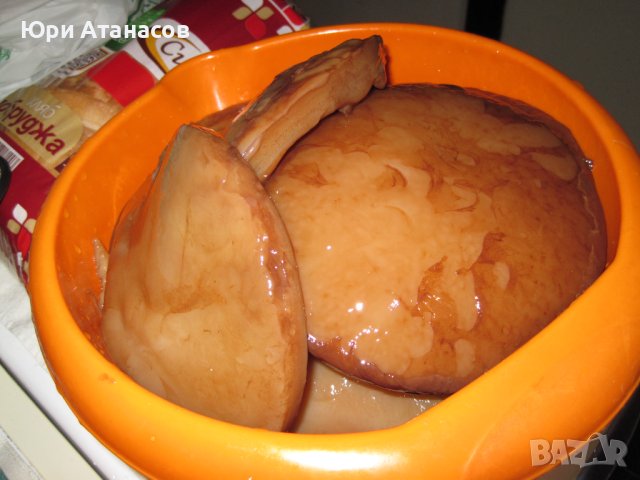 Чаена Гъба Комбуча