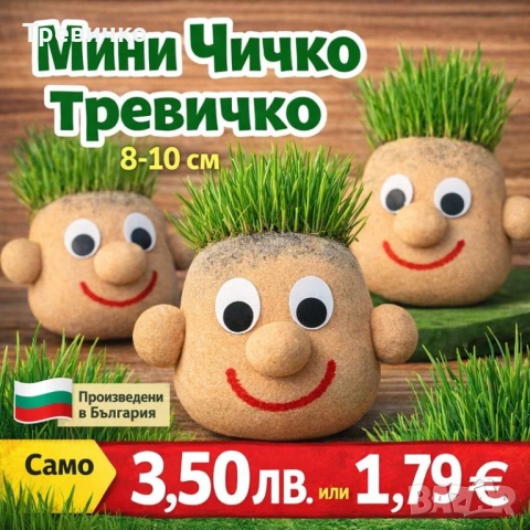 МИНИ ЧИЧКО ТРЕВИЧКО 