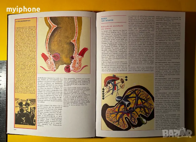 Стара Книга Обща медецина и Хирургия Ръководство за Хигиена, снимка 5 - Специализирана литература - 49429113