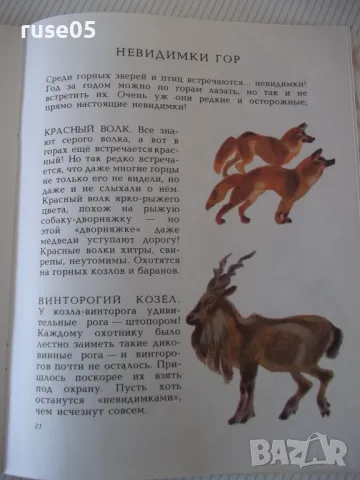 Книга "В горах - Н. Сладков" - 24 стр., снимка 5 - Списания и комикси - 47816848