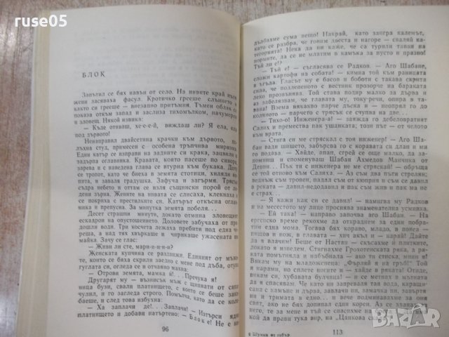 Книга "Шумки от габър - Николай Хайтов" - 340 стр., снимка 4 - Художествена литература - 42553490