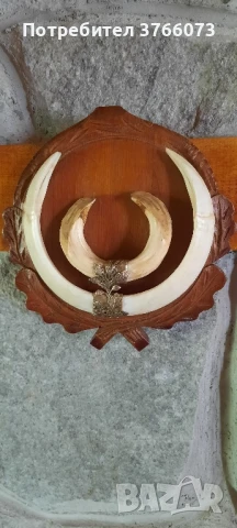 Ловна тръба - за декорация , снимка 18 - Други - 50465816