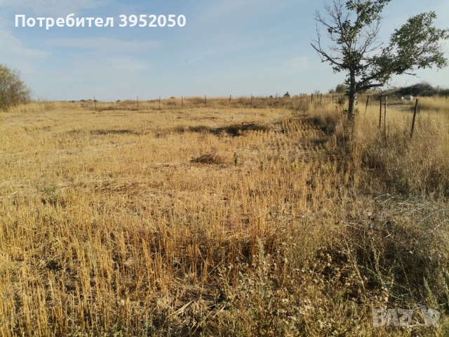 Собственик продава, снимка 3 - Парцели - 51662500