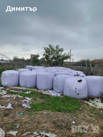 Бали слама и люцерна 