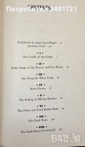 Бандите на Ню Йорк - неофициалната история на подземния свят / The Gangs of New York. An Informal Hi, снимка 2 - Художествена литература - 53748108