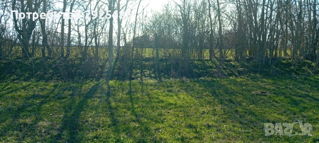 Урегулиран поземлен имот – 1380 кв.м. в с. Конево, общ. Върбица, снимка 6 - Парцели - 53710789