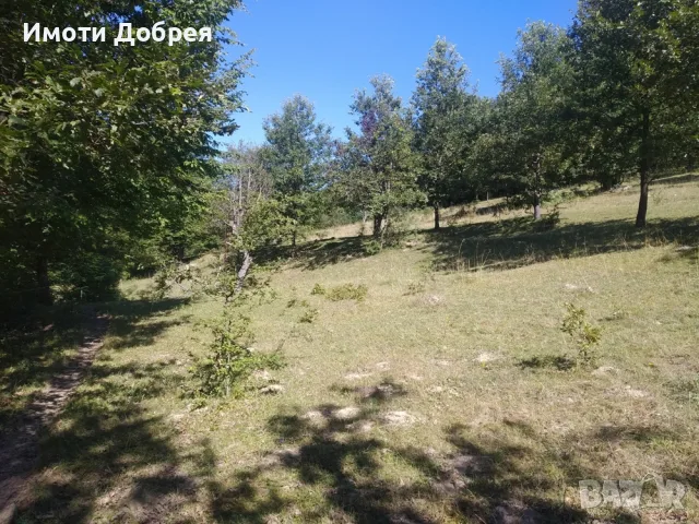 Два имота в Априлци, близо до манастир и река!, снимка 5 - Парцели - 56315620