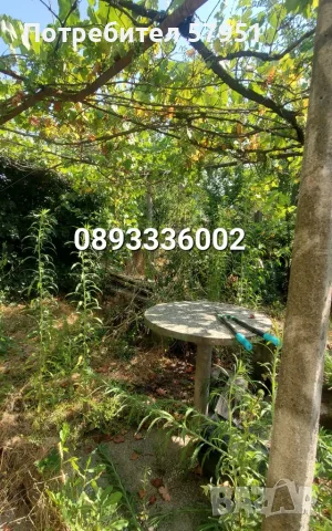 Къща с двор с. Каснаково, снимка 17 - Къщи - 55845568