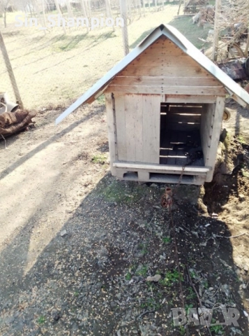 Кучешка колиба 