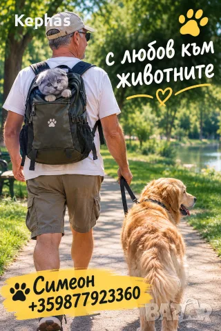 🐾 Гледане на кучета и котки с любов и грижа