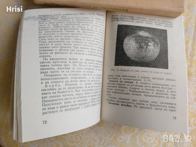 Опазване на зеленчуковите култури от болести, неприятели и плевели, снимка 5 - Специализирана литература - 36003766