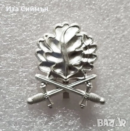 Ордени, медали, бадж от нацистка Германия, снимка 13 - Нумизматика и бонистика - 49682601