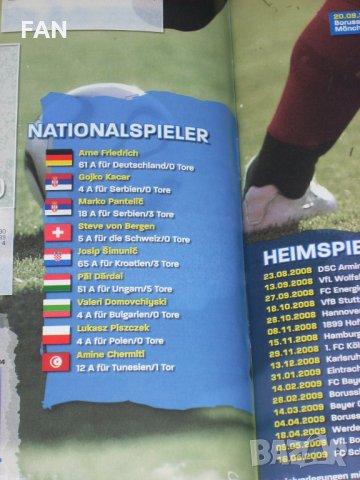 Оригинален стикер албум ПАНИНИ Бундеслига PANINI Bundesliga Fußball 2008/09, снимка 10 - Фен артикули - 35691751