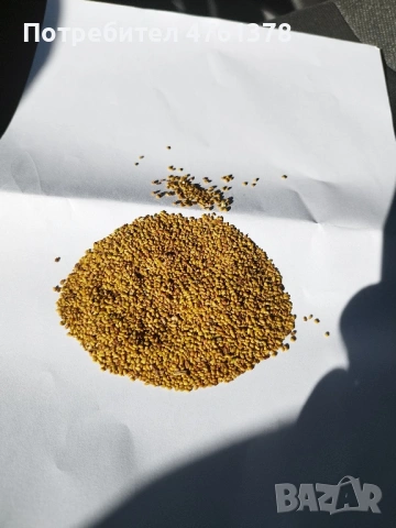 Продавам люцерново семе безупречно