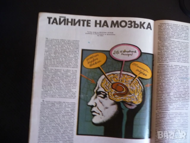 Здраве 3/86 Тайните на мозъка смущения лактация хронични гастрити морковити предпазно подкрепително , снимка 4 - Списания и комикси - 51133914