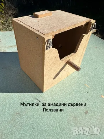 Мътилки за амадини , снимка 2 - За птици - 49641286