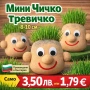 МИНИ ЧИЧКО ТРЕВИЧКО , снимка 1