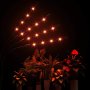 Лампа за отглеждане на растения STELS, Трипод, Таймер, Черен , снимка 6