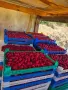Продавам плод малини, снимка 2