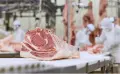 МЕСОПРЕРАБОТВАТЕЛНА ФАБРИКА – ХОЛАНДИЯ, снимка 4