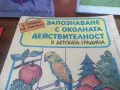 Лот детски книжки, снимка 5