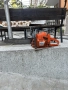 Husqvarna 372 xp
, снимка 1