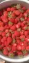 Ягоди от моето детство. Стар сорт съхранен от 50 години!, снимка 3