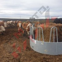 Кръгла пасищна хранилка за крави или коне PH-12S, снимка 10 - За селскостопански - 34653833