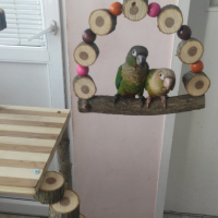 Ръчнонизработени дървени играчки за папагали , снимка 1 - За птици - 44563933