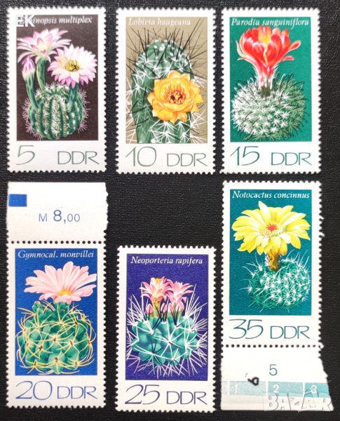 ГДР, 1974 г. - пълна серия чисти марки, кактуси, 4*10, снимка 1