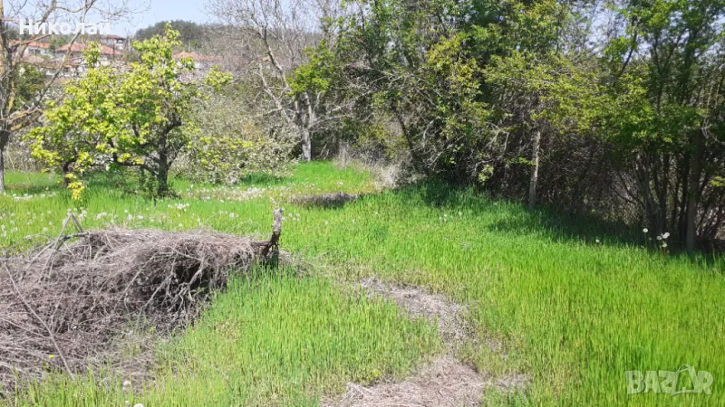 ПАРЦЕЛ Николово, снимка 1