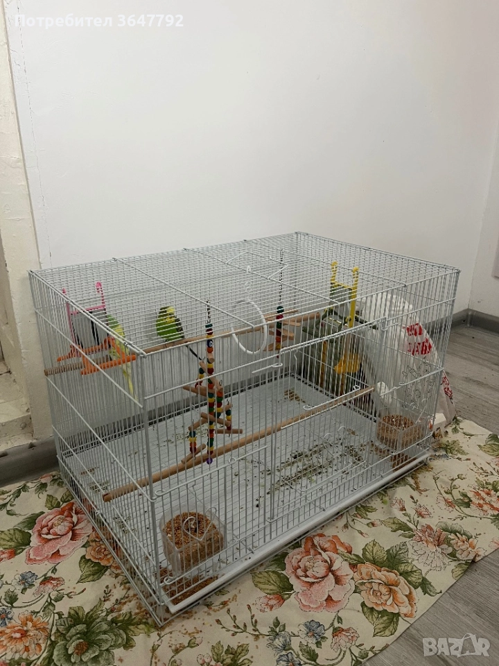 Два папагала в комплект с две клетки, снимка 1