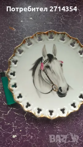 Порцеланова чиния декорация , снимка 5 - Декорация за дома - 49998859