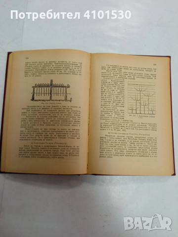 Лозарство - книга от 1946 г, снимка 4 - Специализирана литература - 52964363