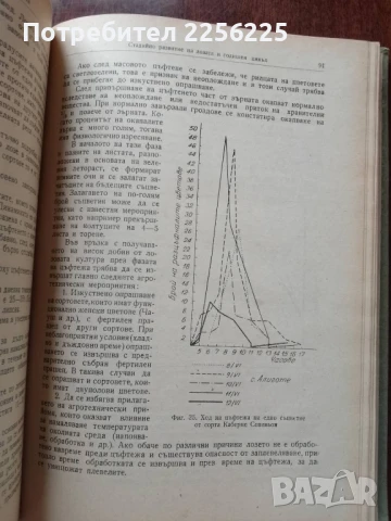 Лозарство, снимка 3 - Специализирана литература - 50611444