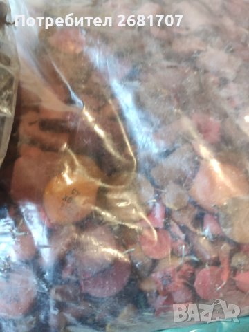 Електронна скрап (български кондензатори), снимка 6 - Друга електроника - 42228359