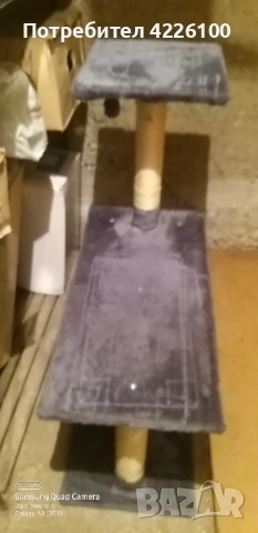 КАТЕРУШКА ЗА КОТКИ И ПРЕНОСИМА КЛЕТКА, снимка 3 - За котки - 50556707