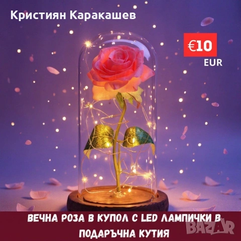 Вечна Роза в Купол с LED лампички в подаръчна кутия